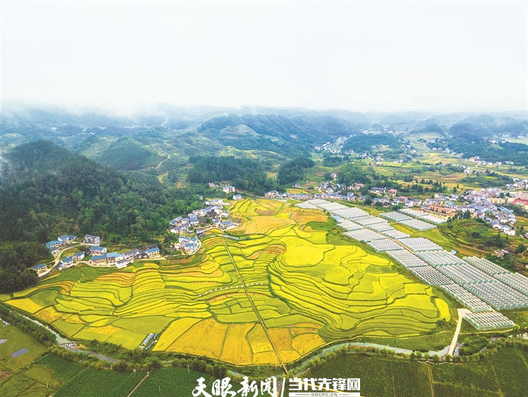 花茂村田園風(fēng)光美如畫。 羅星漢 攝.jpg